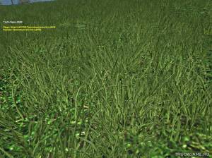 Мод "Grass Texture v1.0" для Farming Simulator 2015