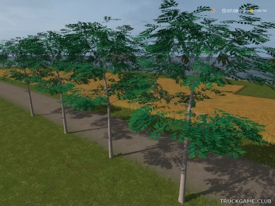 Мод "Placeable Eucalyptus v1.0" для Farming Simulator 2017
