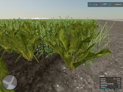 Мод "Crop Growth Stage Info v1.0" для Farming Simulator 22