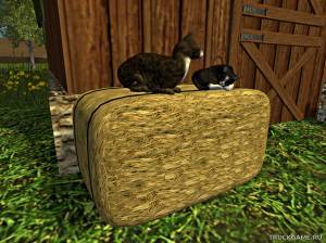 Мод "Placeable Katzen auf Strohballen v1.0" для Farming Simulator 2015