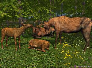 Мод "Placeable Moose v1.0" для Farming Simulator 2015