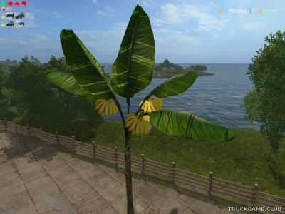 Мод "Placeable Banane Tree v1.0" для Farming Simulator 2017