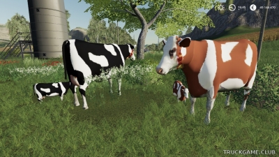 Мод "Placeable Kuh Familie" для Farming Simulator 2019