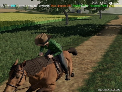 Мод "Cowboy Hat" для Farming Simulator 2019