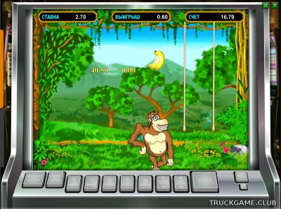 Казино Вулкан игровые автоматы Crazy Monkey и Crazy Monkey 2