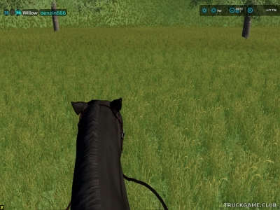 Мод "Horse Riding Camera v1.0" для Farming Simulator 22