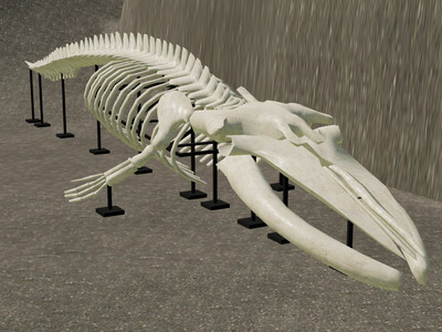 Мод "Placeable Whale Skeleton v1.0" для Farming Simulator 22